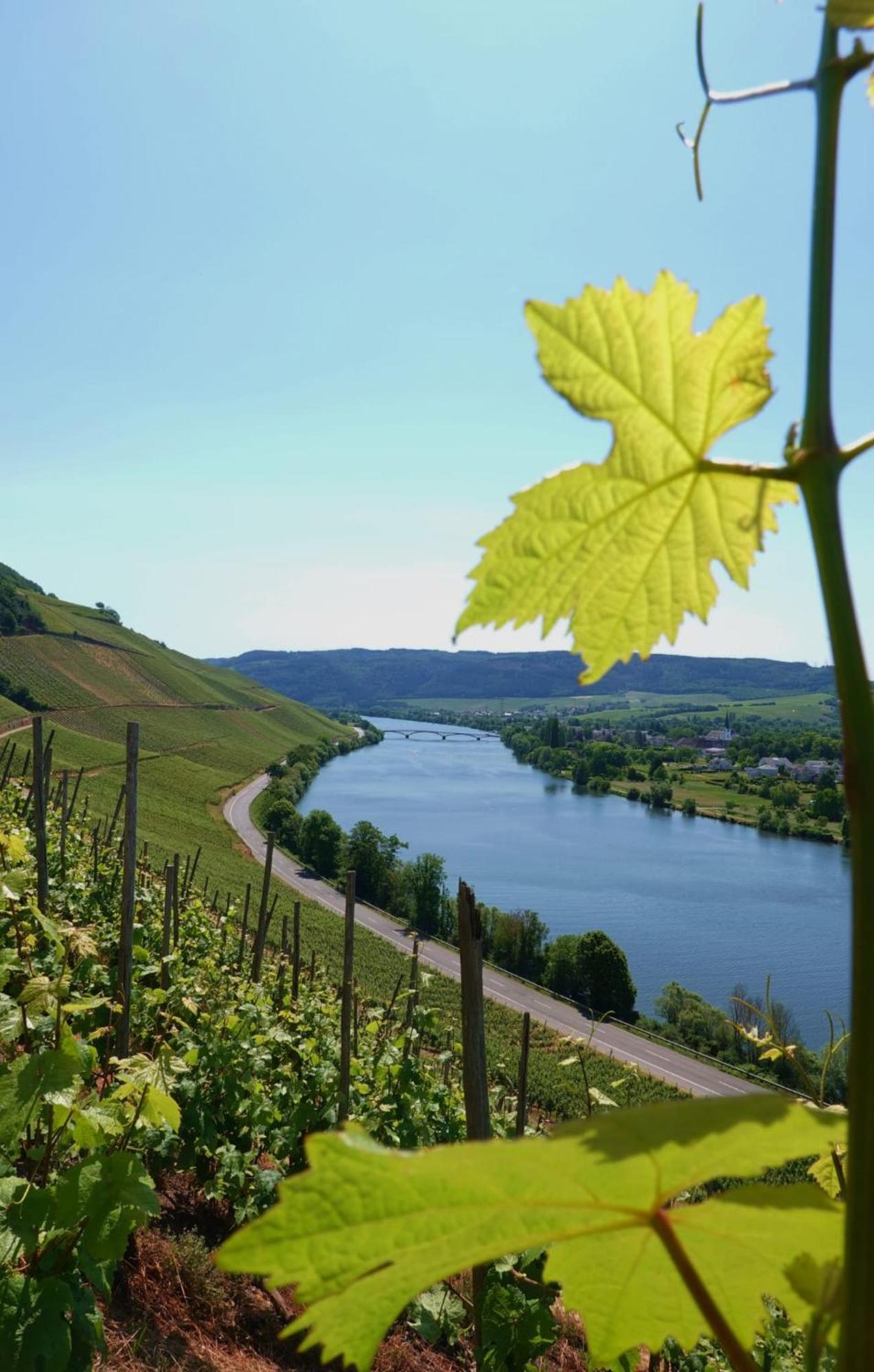 Neue Loft Im Alten Kelterhaus - Urlaub Im Wein- Und Ferienort Bekond Exteriér fotografie